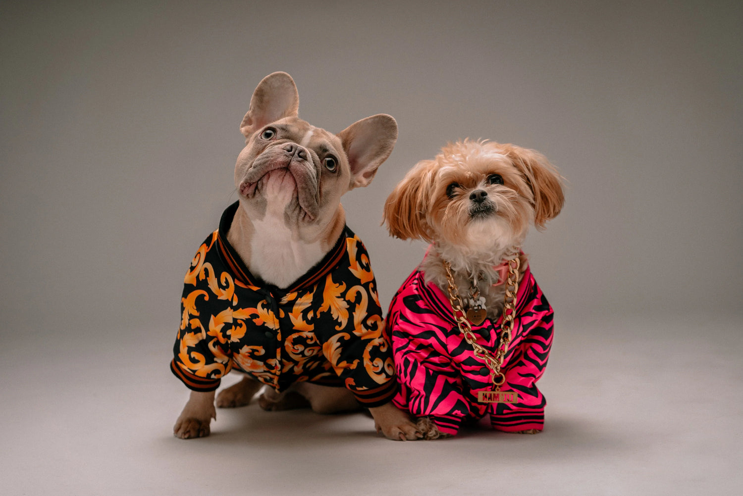 Pets Accessories